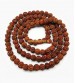 5 Mukhi Rudraksha Mala 108 Beads ( Nepali ) Activated & Siddh