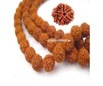5 Mukhi Rudraksha Mala 54 Beads ( Nepali ) Activated & Siddh
